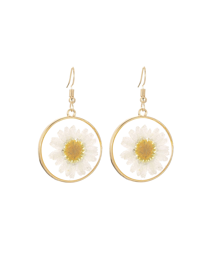 Dried Daisy Flower Earring - 1.85"