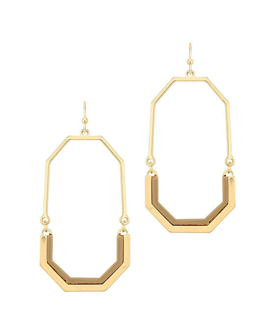 Metal w/ Acetate Hexagon Earring