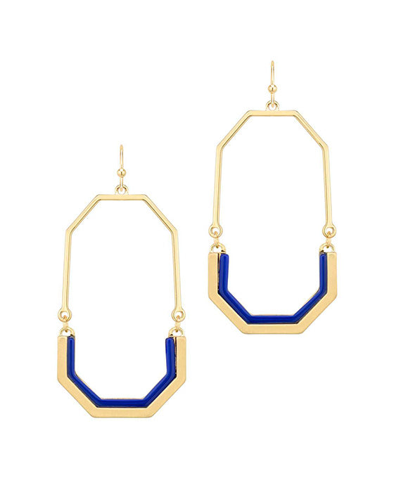 Metal w/ Acetate Hexagon Earring