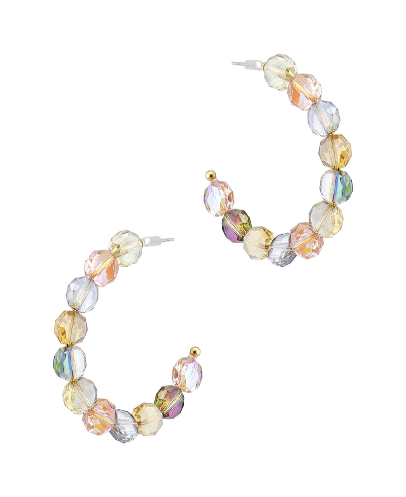 Acrylic Hoop Earring