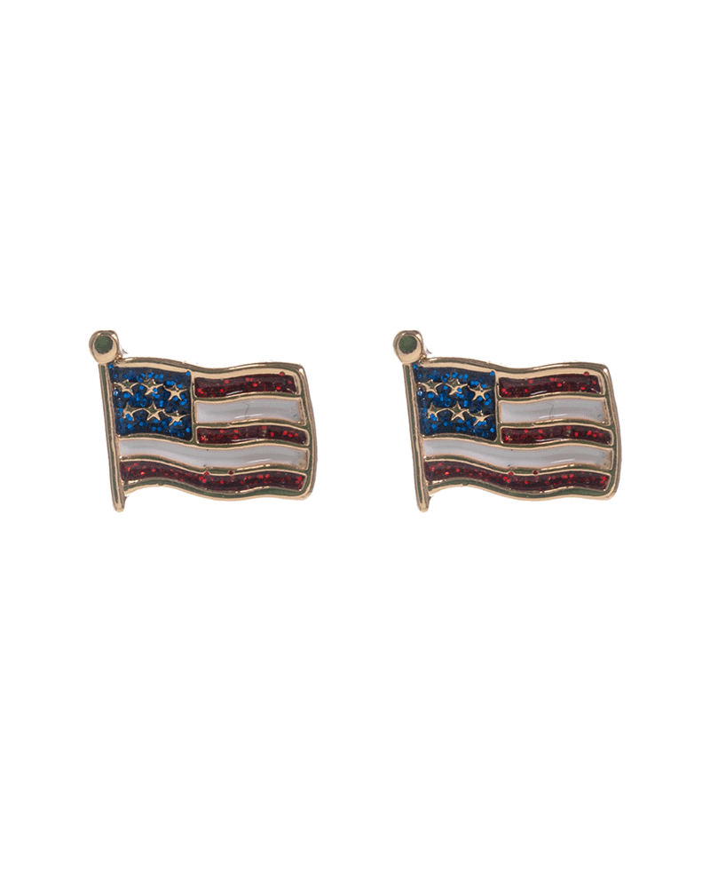 American Flag Enamel Hypo Earring - 0.5"