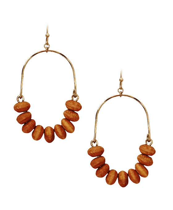 Metal Wire w/ Wood Earring