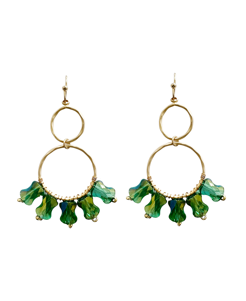Linked Circle w/ Crystal Earring