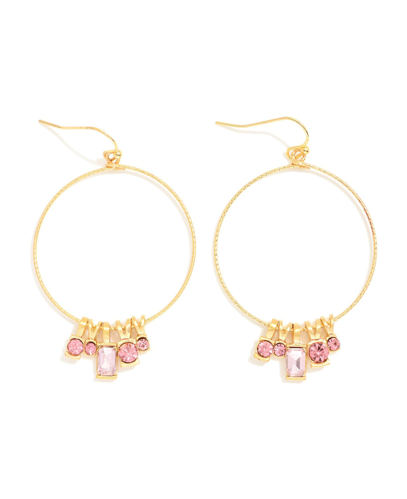 Multi Charm Wire Circle Earring