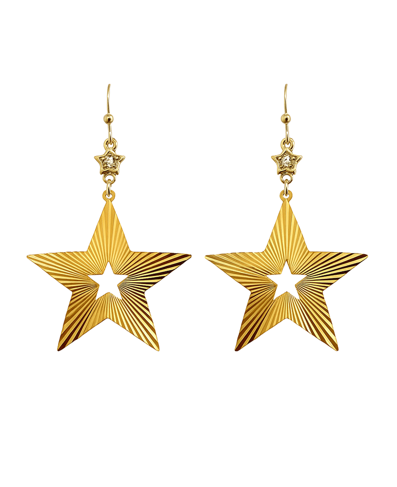 Double Star Metal Earring