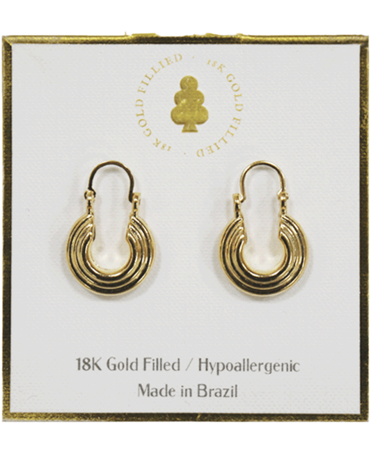 18K Gold Filled Earring