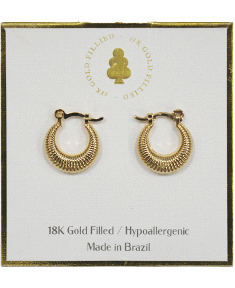 18K Gold Filled Earring