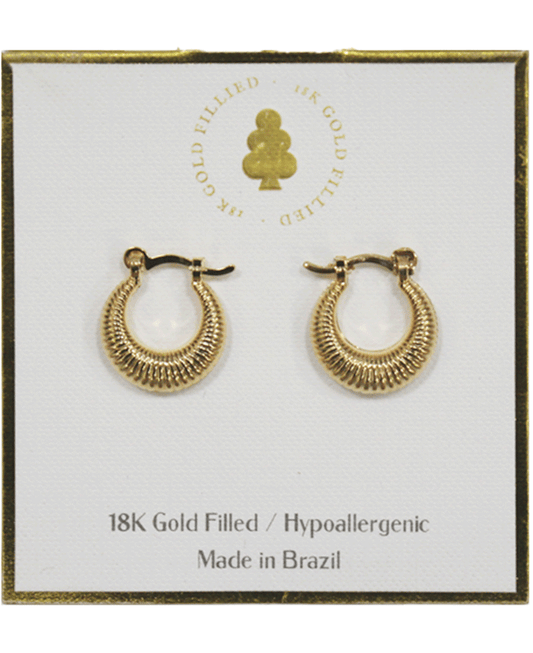 18K Gold Filled Earring