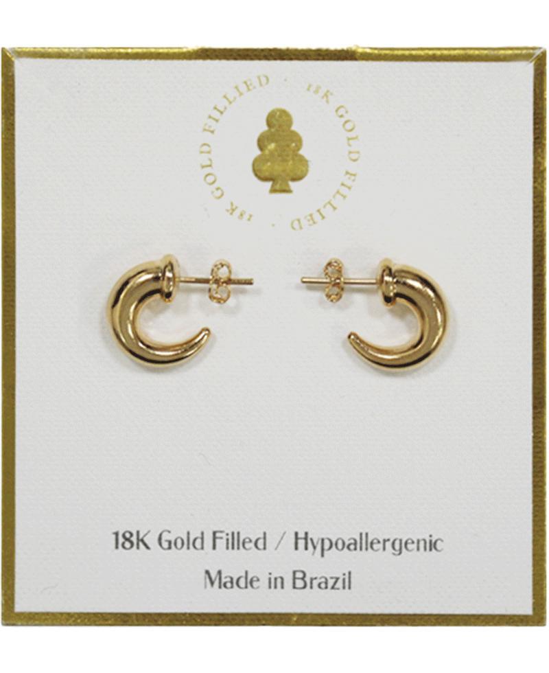 18K Gold Filled Earring