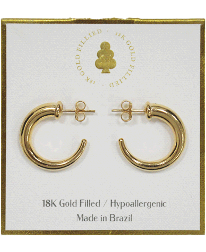 18K Gold Filled Earring