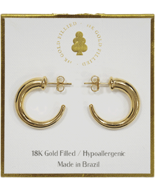 18K Gold Filled Earring