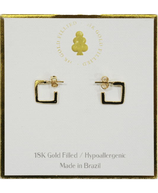 18K Gold Filled Earring