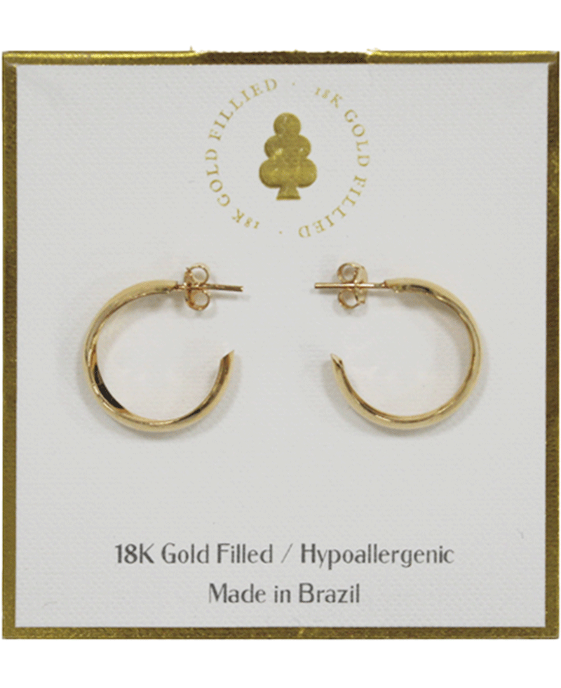 18K Gold Filled Earring