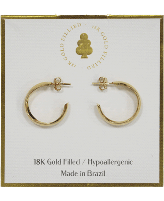 18K Gold Filled Earring