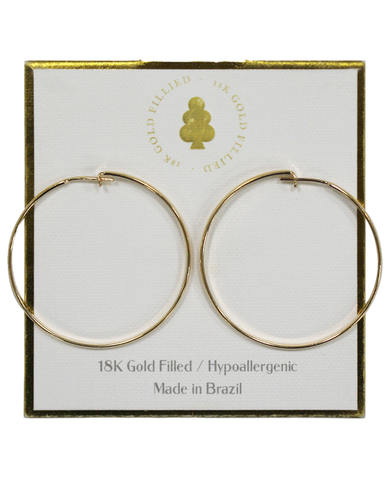 18K Gold Filled Earring