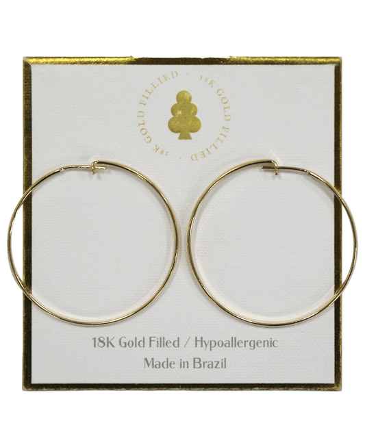 18K Gold Filled Earring