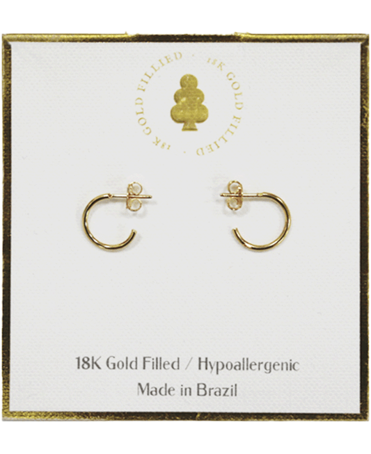 18K Gold Filled Earring