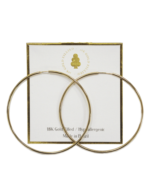 18K Gold Filled Earring