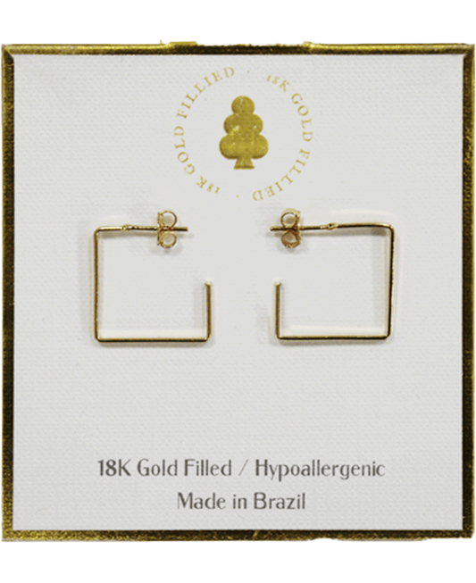 18K Gold Filled Earring