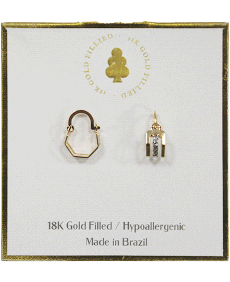 18K Gold Filled Earring
