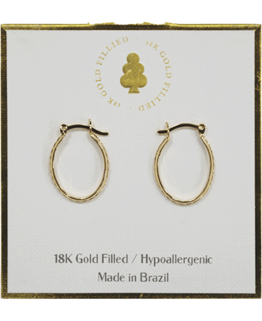 18K Gold Filled Earring