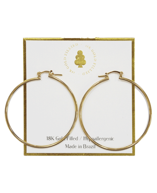 18K Gold Filled Earring