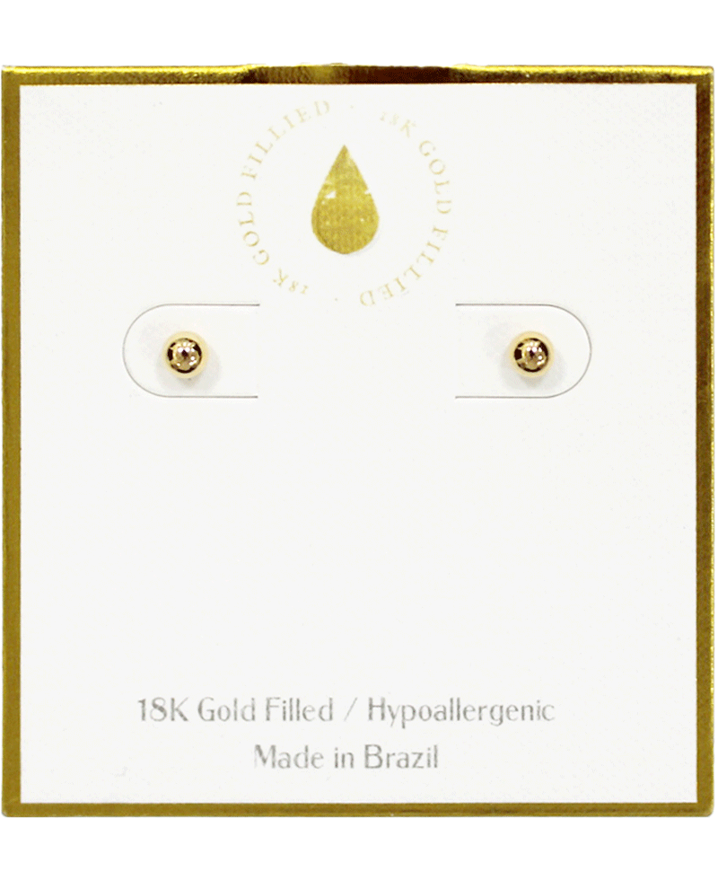 18K Gold Filled Earring