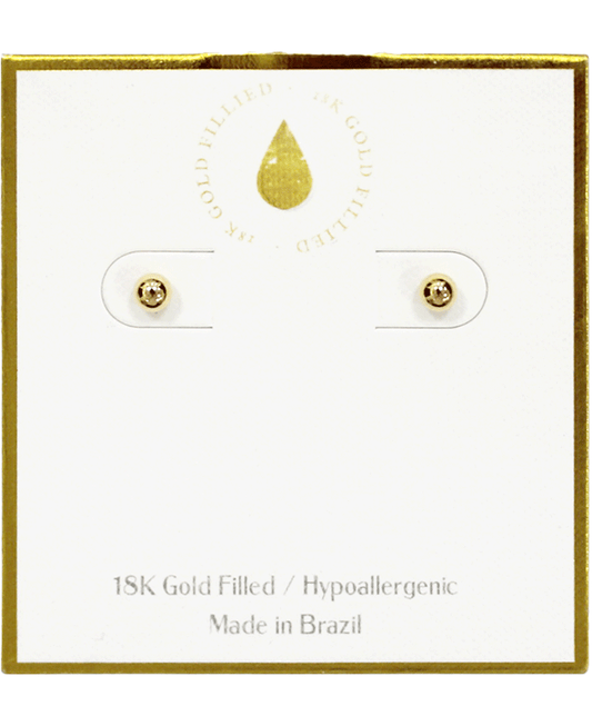 18K Gold Filled Earring