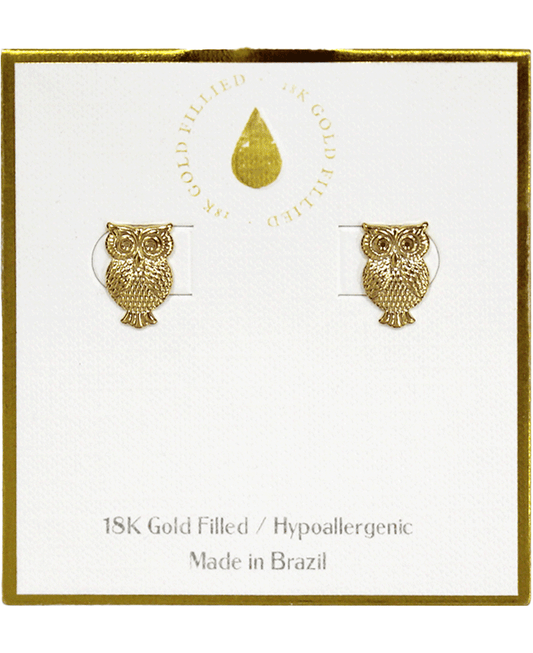 18K Gold Filled Earring