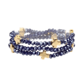  GDNAVY