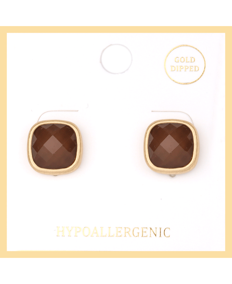 Epoxy Stone Post Earring