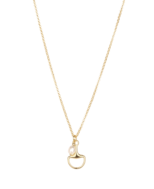 Metal Horse Bit short Necklace - 18"
