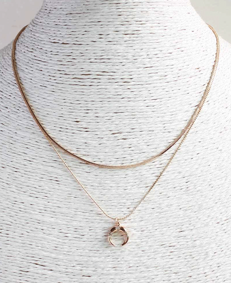 Double Layered w/ Horn Pendant Necklace