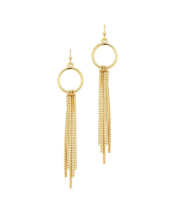 Metal Circle w/ Chain Earring