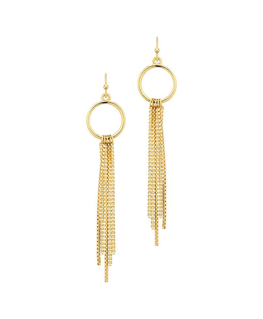 Metal Circle w/ Chain Earring