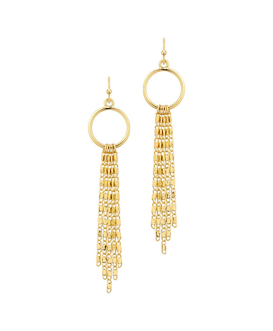 Metal Circle w/ Chain Earring