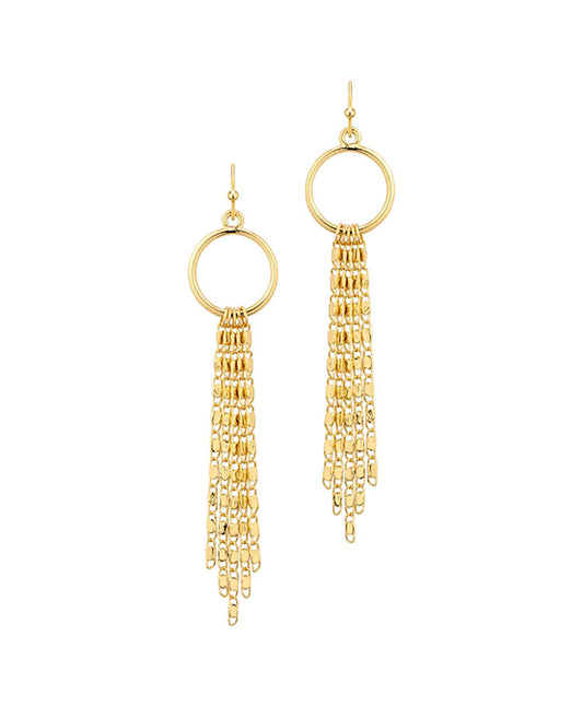 Metal Circle w/ Chain Earring