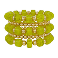  OLIVE-GD