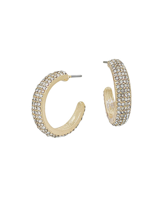 Small Pave Hoop Earring