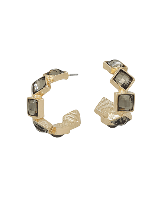 Crystal Accent Hoop Earring