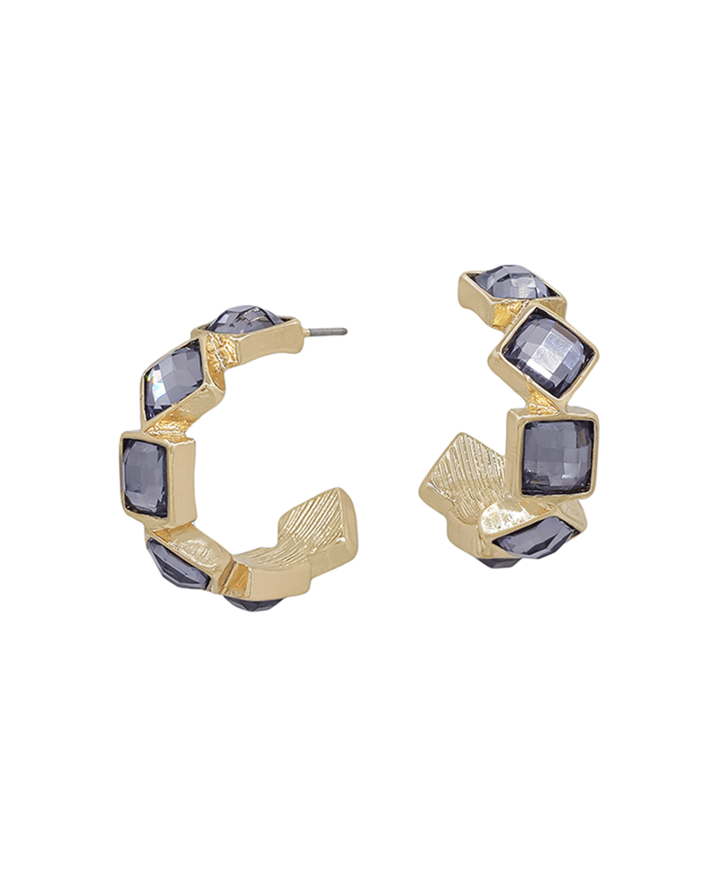 Crystal Accent Hoop Earring