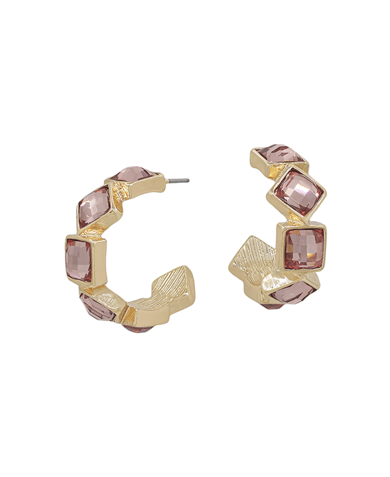 Crystal Accent Hoop Earring