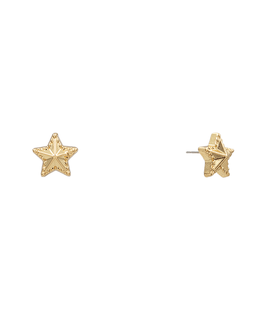 Small Star CCB Stud Earring - 0.5"