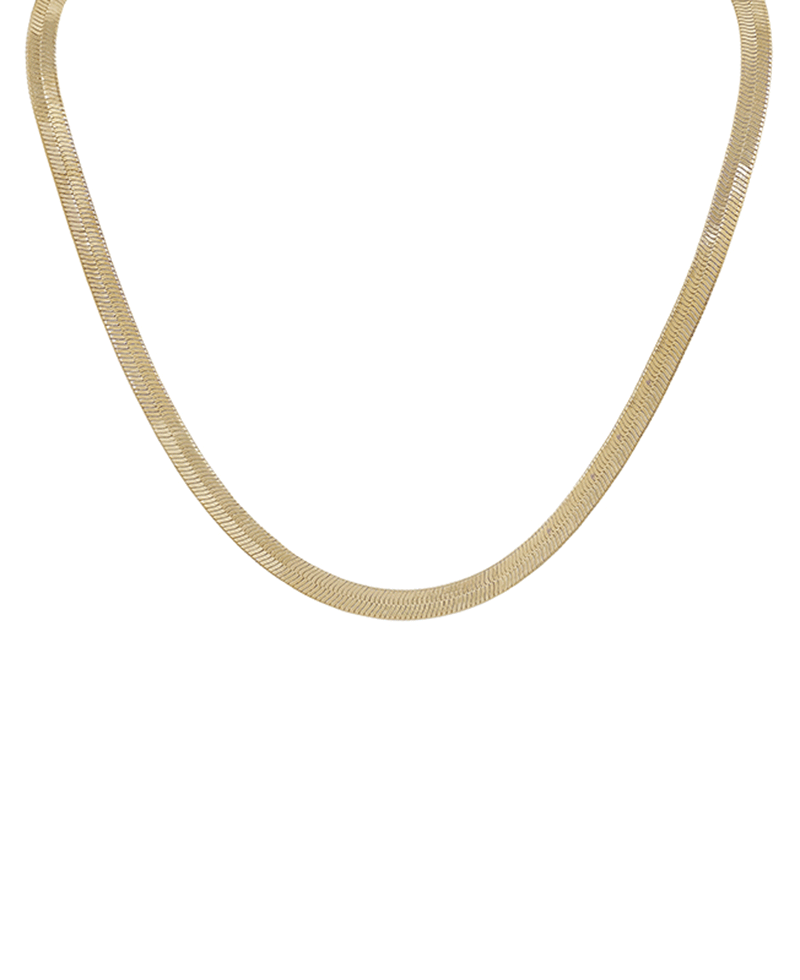 Snake Chain Short Necklace