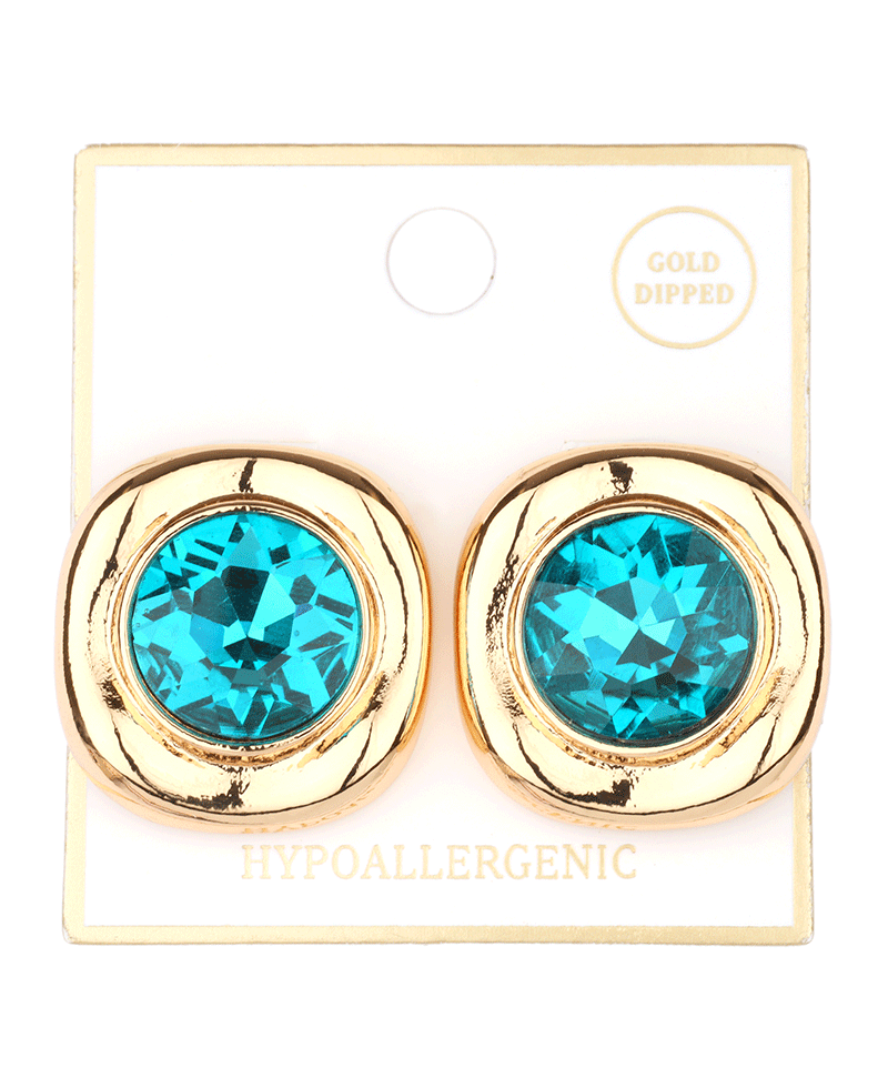 Metal Frame w/ Rhinestone Post Earring