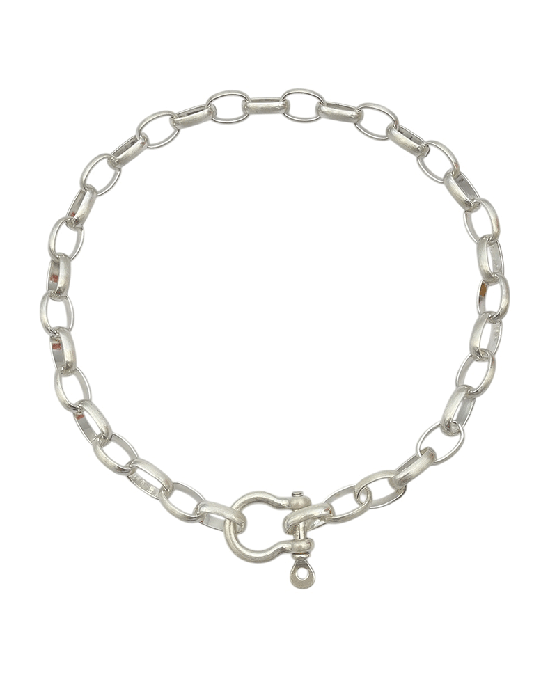 Oval Link Chain Short Necklace