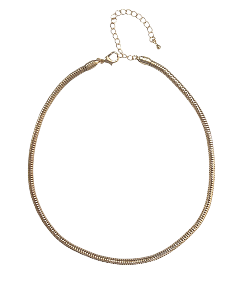 Chain Short Necklace