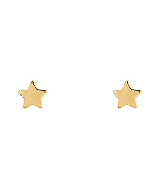 14KT Gold Dipped Star Earring
