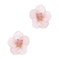  BPINK