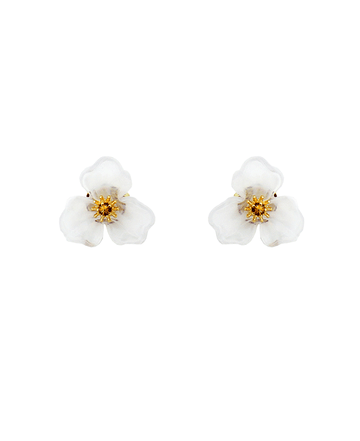 WHT